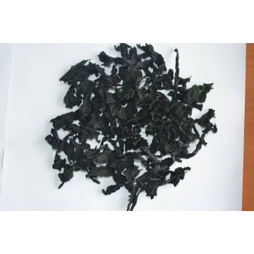 Wakame Good Taste Gesundheit Lebensmittel